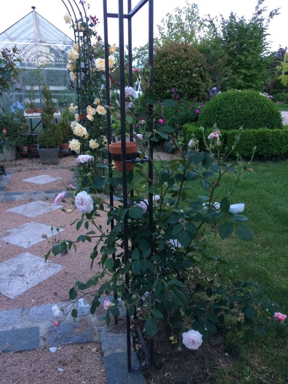 plantation fleur